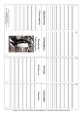 Faltbuch-Eselspinguin.pdf